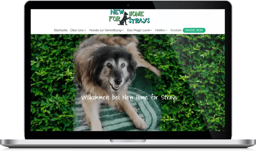 Website von New Home for Strays auf einem Laptop